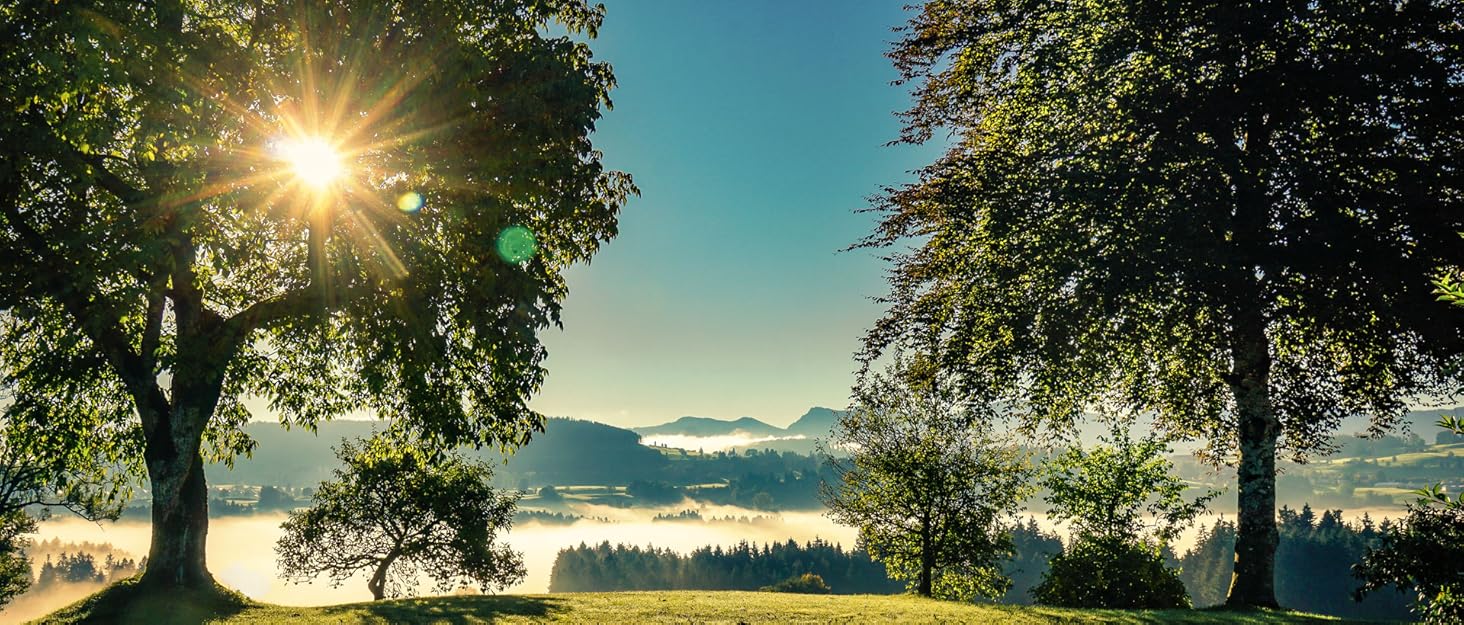 Напійниця для собак та котів VitaJuwel з бамбука з сумішшю дорогоцінних каменів | сірий колір