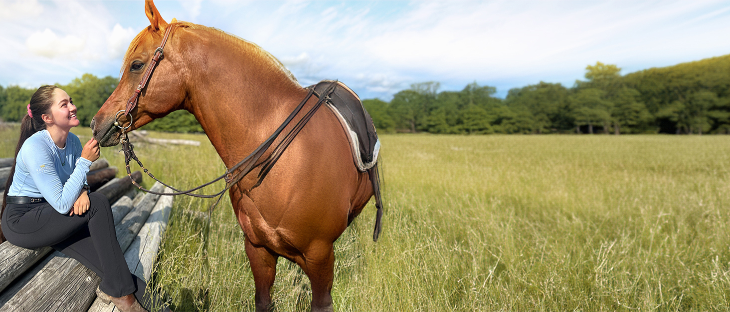 Спортивні штани для верхової їзди FitsT4 для жінок та дівчаток. Легінси для верхової їзди з силіконовими накладками на колінах, з боковими кишенями, дихаючі та еластичні. Ідеально підходять для верхової школи та їзди на велосипеді навесні/влітку. Чорний колір, розмір S