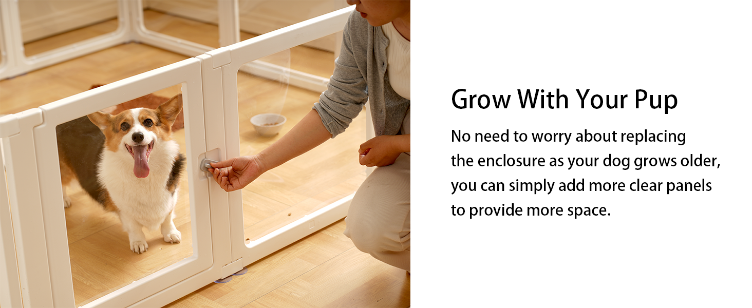 Клітка-вигул для цуценят Kerhouze, 8 шт., 60 см, прозора, для собак, котів, кроликів та інших дрібних тварин, з фіксуючою дверцятами, біла
