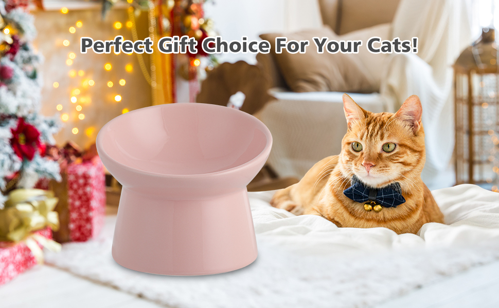 Котловий набір з кераміки, піднятий на 15°, для котів, запобігає зворотному викиду, 280 мл, білий (рожевий)