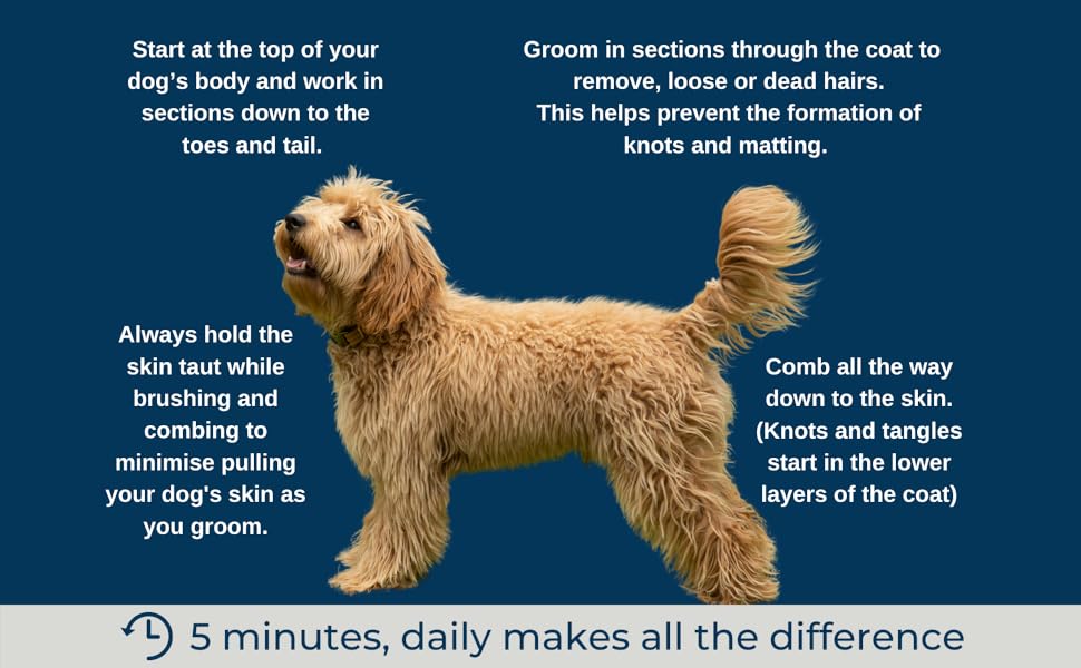 Набір для догляду за шерстю собак та цуценят Mikki: гребінець зі сталі та щітка Slicker з жорстким ворсом. Підходить для порід: пуделів, кокапу, лабрадуділів, кавапу, мальтипу та голден дуділів.