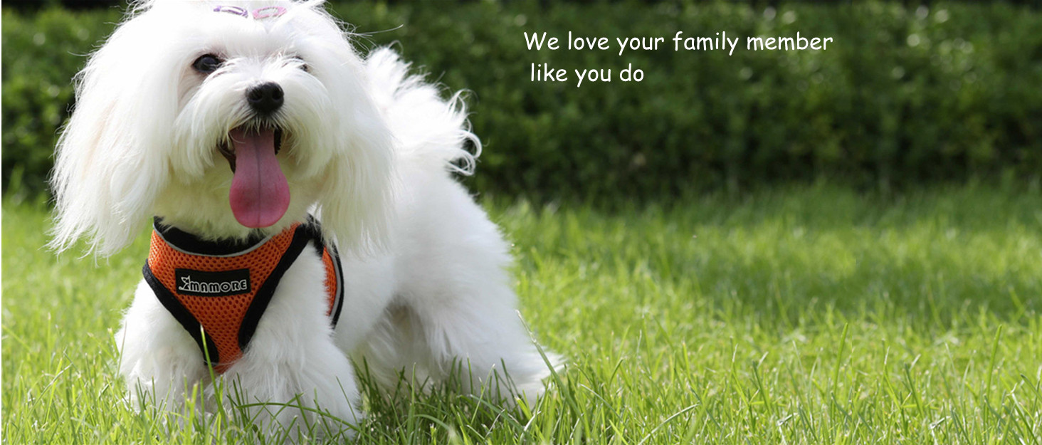 ЕлегантнийSmoking для собак: формальний костюм з краваткою для собак, весільний набір, костюм для цуценят, маленьких та середніх собак, котів. Розмір 3XL