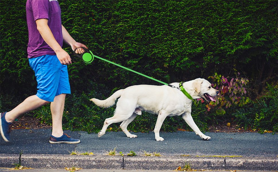 Витяжна повідка для собак середніх та великих порід до 45 кг Taglory, 5 м, зелений