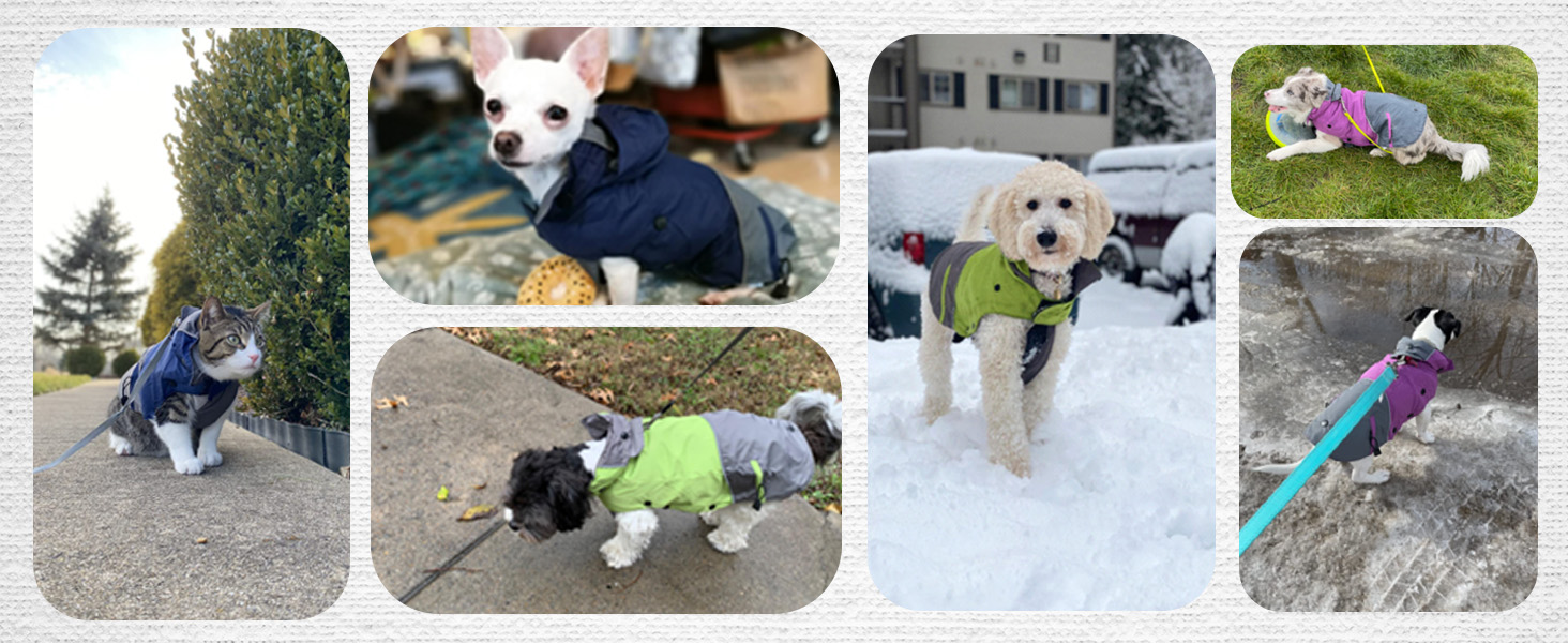 PETLOFT Зимова куртка для собак, світловідбиваюча, вітронепроникна, тепла флісова куртка для прогулянок на вулиці, знімний флісовий підкладка (S, фіолетовий)