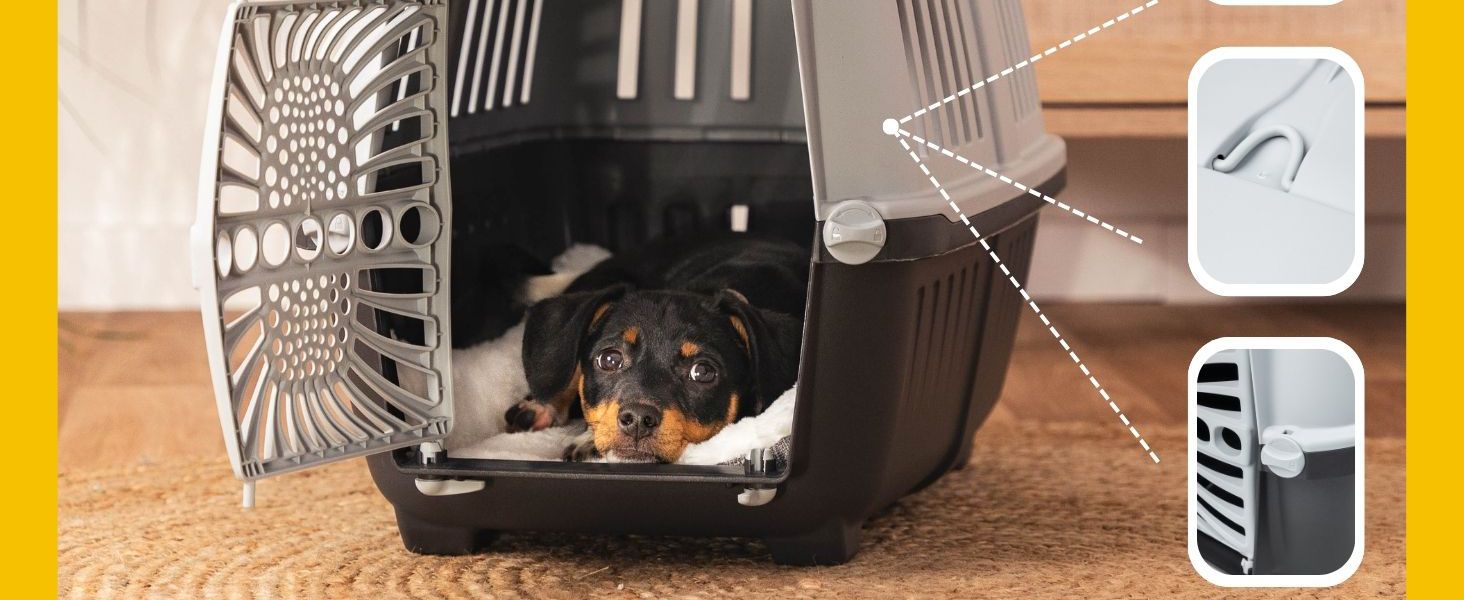 Транспортна переноска для собак Lionto, 55x36x36 см, сіра, для собак, котів та дрібних тварин до 15 кг, з ручкою та надійним замком