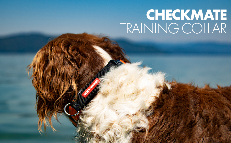Нашийник EzyDog Checkmate для собак - нашийник-перетягувач, навчальний, для великих, середніх та малих порід (червоний, S)
