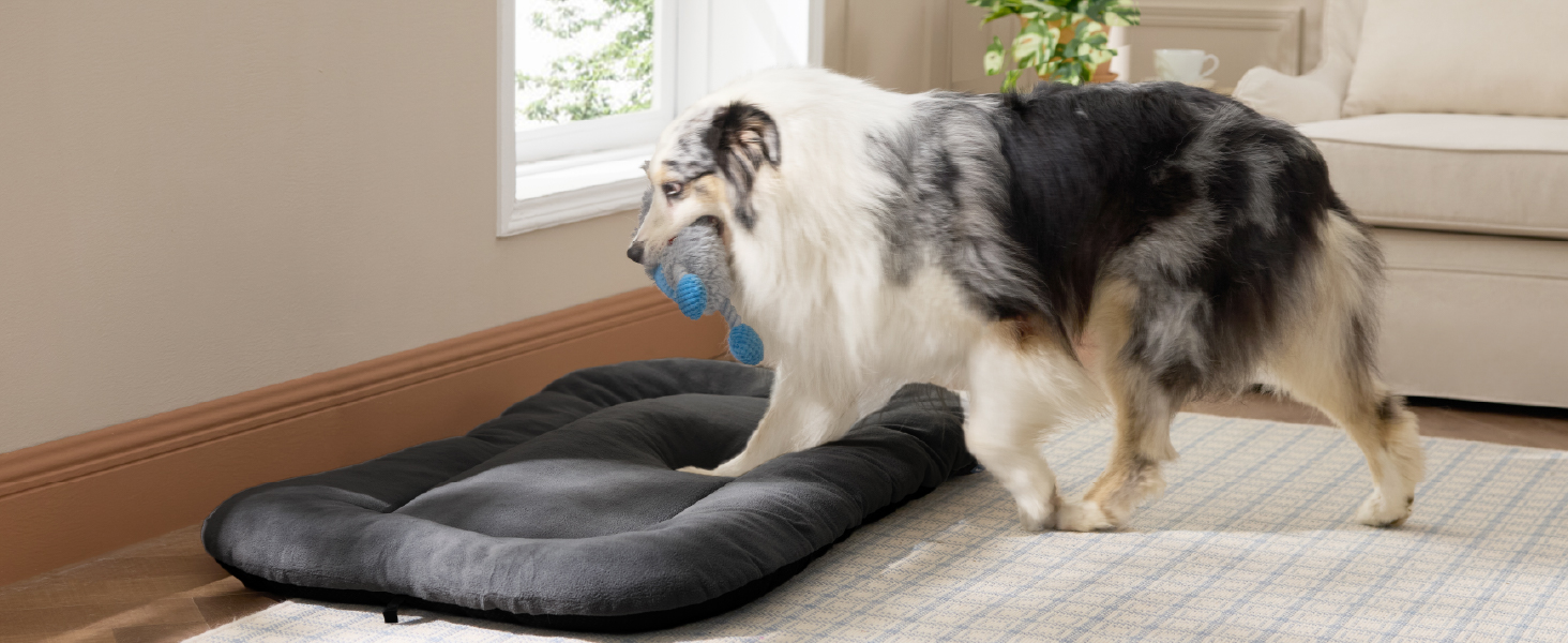 Кілимок для собак BEDSURE - м'який та зручний, 89x56 см, темно-сірий. Підходить для великих та середніх собак, з неслизькою основою.