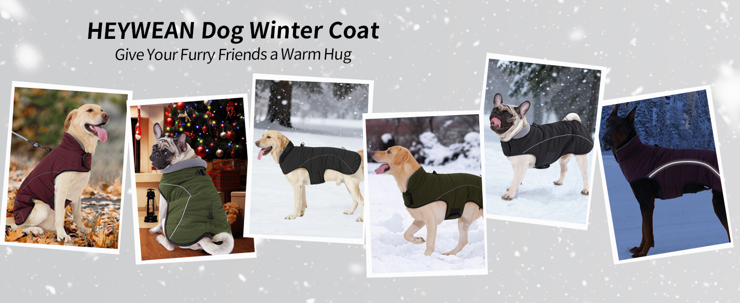 Водонепроникний теплий зимовий одяг для собак Heywean: куртка, жилет, пуловер з флісу, D-Ring, світловідбивачі, клямки, для малих, середніх та великих собак, червоний (L)