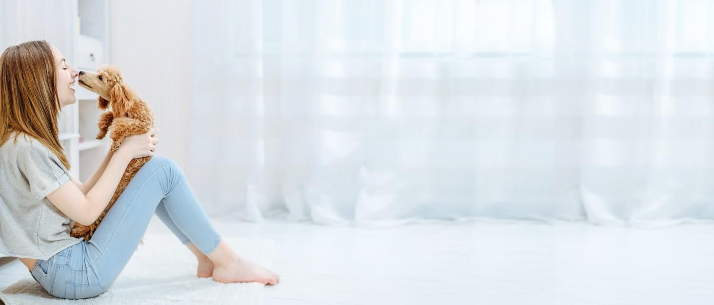 LED-нашийник для собак KOSKILL, перезаряджається через USB, водонепроникний, світлодіодний, регульований, надзвичайно яскравий, для середніх та великих собак (зелений, M)