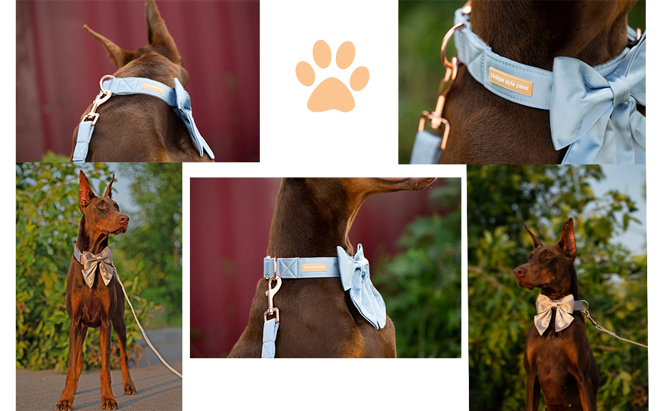 Шовковий ошийник для собак Mandarine, регульований, довговічний, з бантиком, для великих собак, розмір M