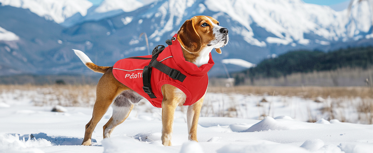 Водонепроникний собачий дощовик для маленьких собак, тепла світловідбиваюча куртка з шлейкою для зими, костюм для катання на лижах, бавовна, чорний собачий пуловер S