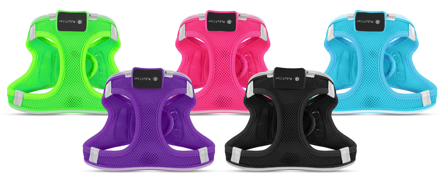 Світловідбиваючий нашийник для собак PcEoTllar з LED підсвічуванням (3 режими), зелений, для маленьких та середніх собак