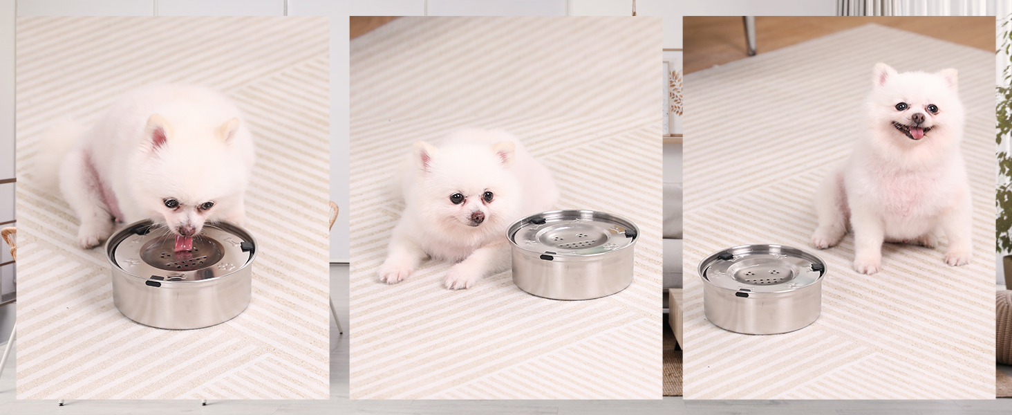 Миска для собак IDOGCHEW з нержавіючої сталі, проти облизування, з неслизьким дном, 1л, срібна