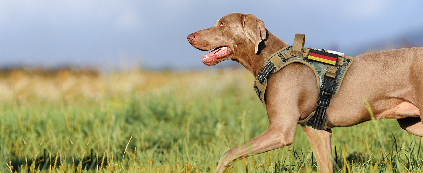 Нашийник для собак Rabbitgoo середнього розміру, анти-тяговильний, регульований з ручкою, міцний, з металевими пряжками, для піших прогулянок (M, L), камуфляжний, коричневий