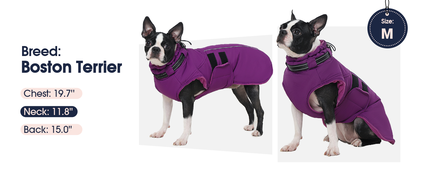 Зимова куртка для собак IECOii, тепла, водонепроникна, регульована, з відбиваючими елементами, фіолетова, XL