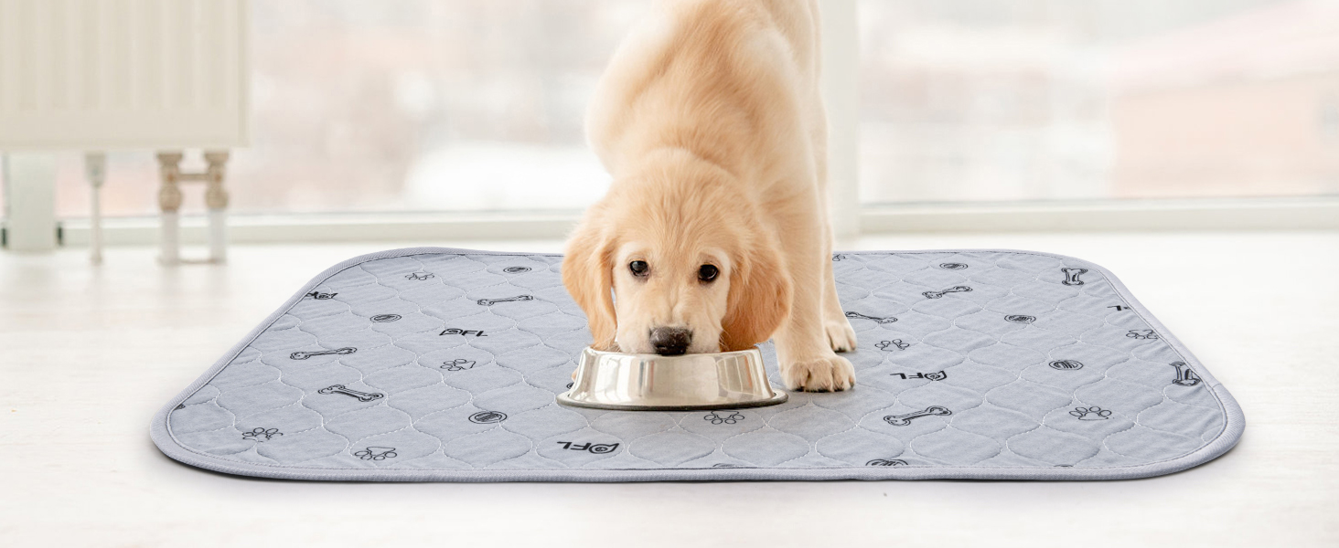 2 шт. вбиральні пелюшки для цуценят, 80х92 см, водонепроникні та миючі. Килимки для навчання собак, неслизька підстилка для дивана та підлоги (2 шт.)
