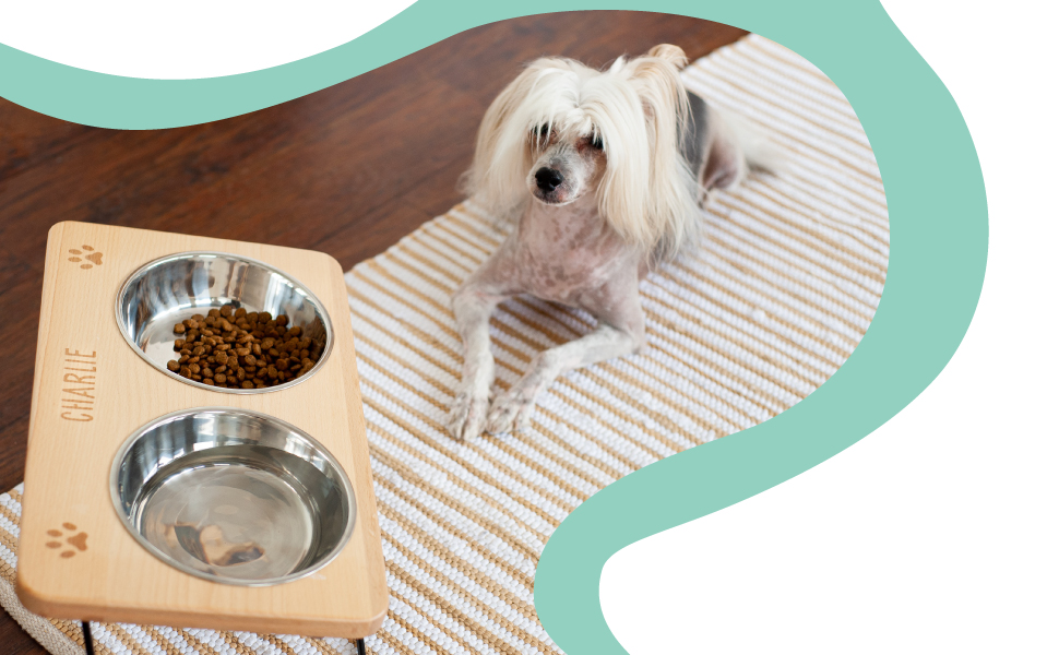 LAUBLUST: Годівниця для собак з іменем, об'єм 0,75 л, піднята годівниця, аксесуари для собак, підставка під миску, годівниця для котів, 41,5 x 25 x 18 см