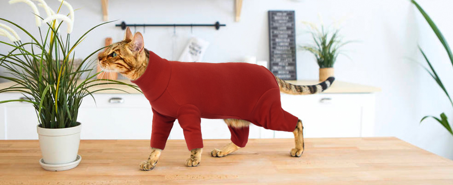 Пуловер для кота без шерсті (Сфінкс, Корніш Рекс, Девон Рекс, Петербал) | Одяг для котів після операції