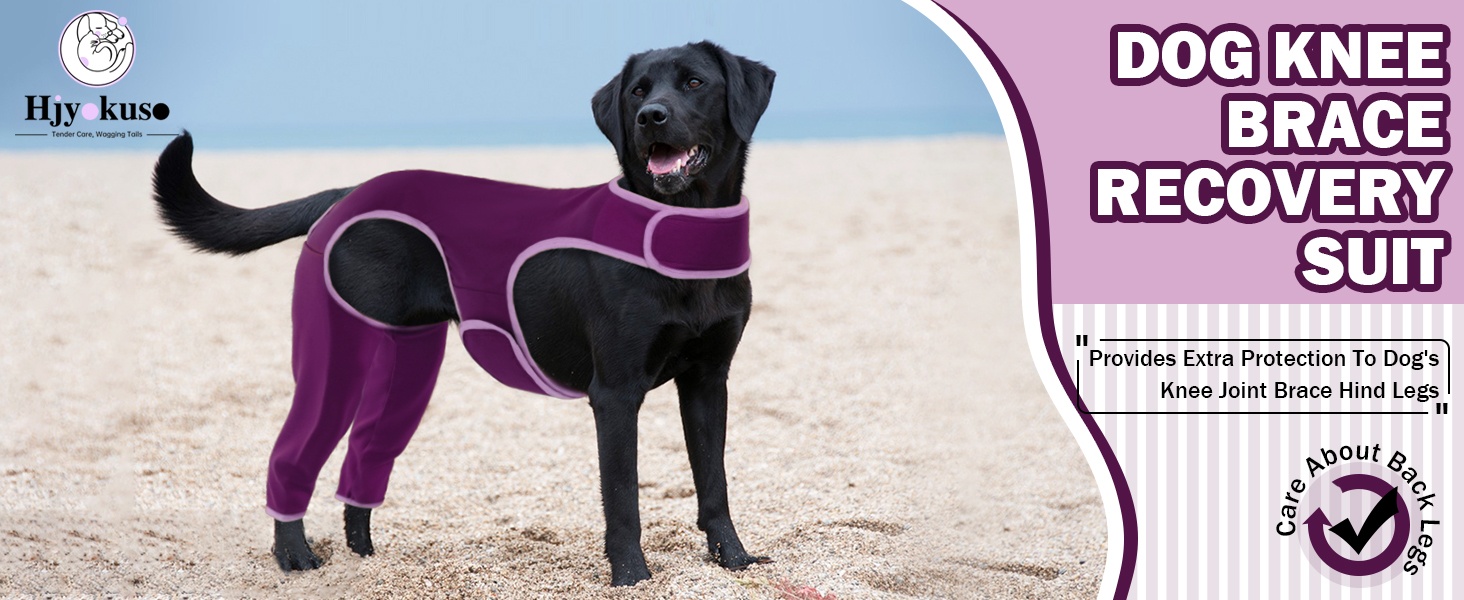 Комбінезон для собак після операції на ногах, захист від витікання, запобігає інфекціям, розмір XL, фіолетовий