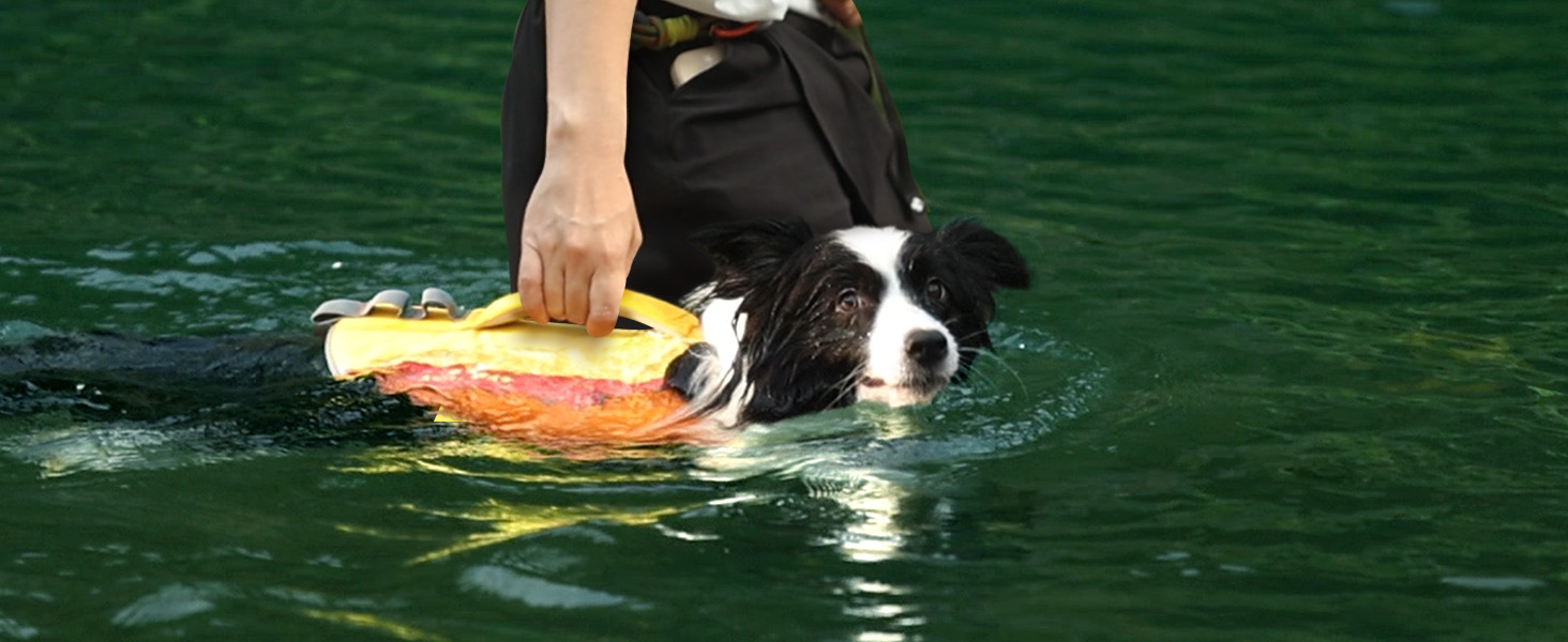 Спасальний жилет для собак ZLX Ripstop Blue L, для малих, середніх та великих собак, регульований, легкий, для плавання та водного відпочинку