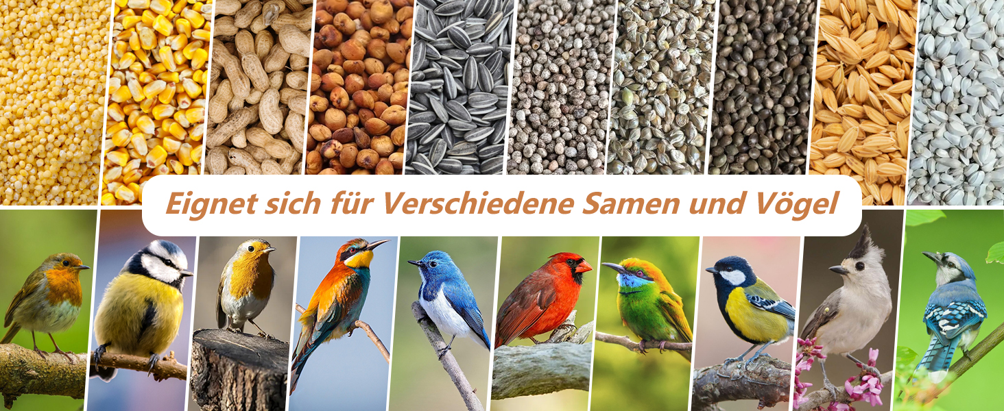 Металевий годівник для птахів, підвісний, 0,36 кг - цілорічне годування, для саду та тераси