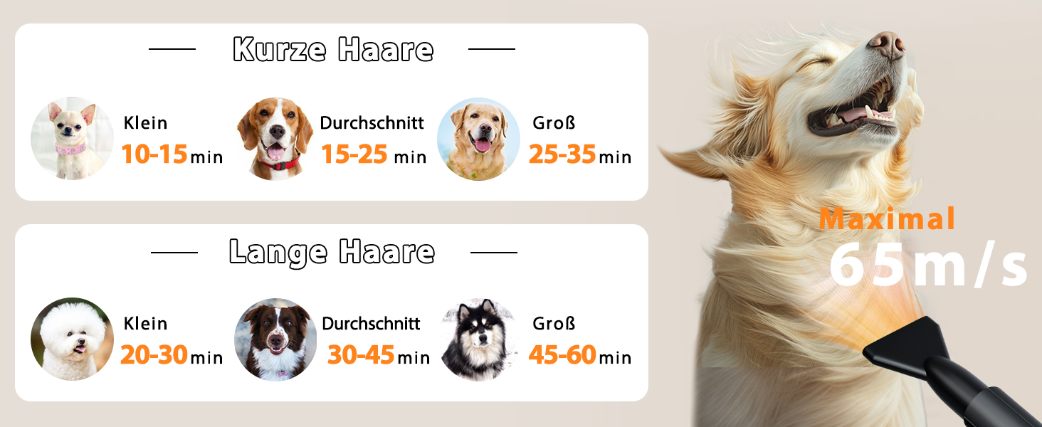 Фен для собак Blower 3000W, тихий, з регулюванням швидкості, 4 насадки, синій