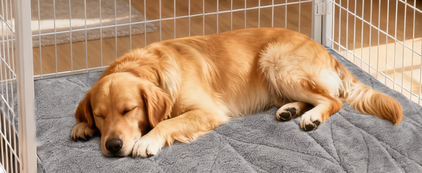 М'яка грілка для собак Mora Pets: тепла підстилка, 89 x 61 см, 9 зон нагріву, таймер, захист від перегріву, миється