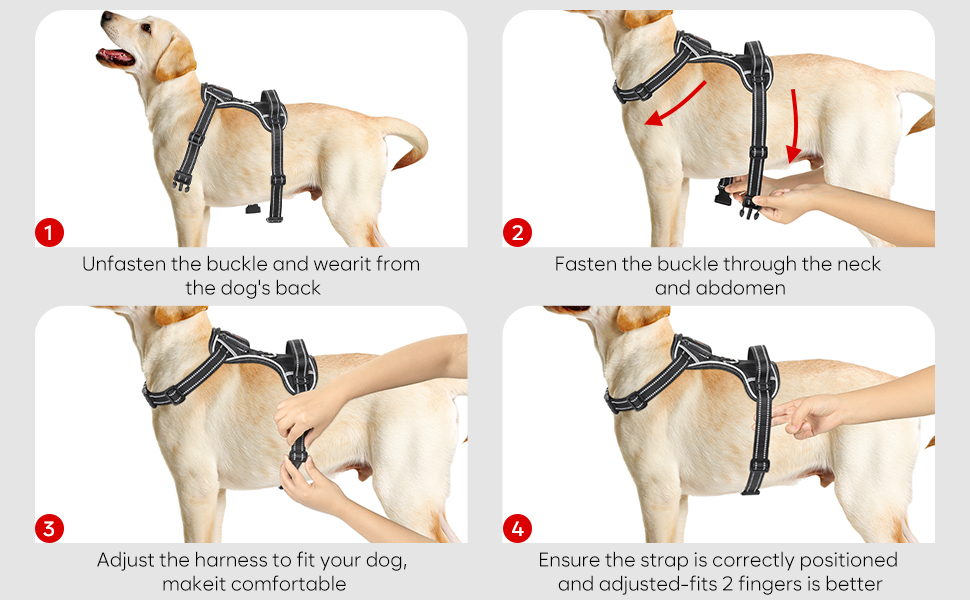 Світловідбиваючий жилет для собак Colaseeme Light з LED-підсвічуванням, регульований, чорний, розмір S