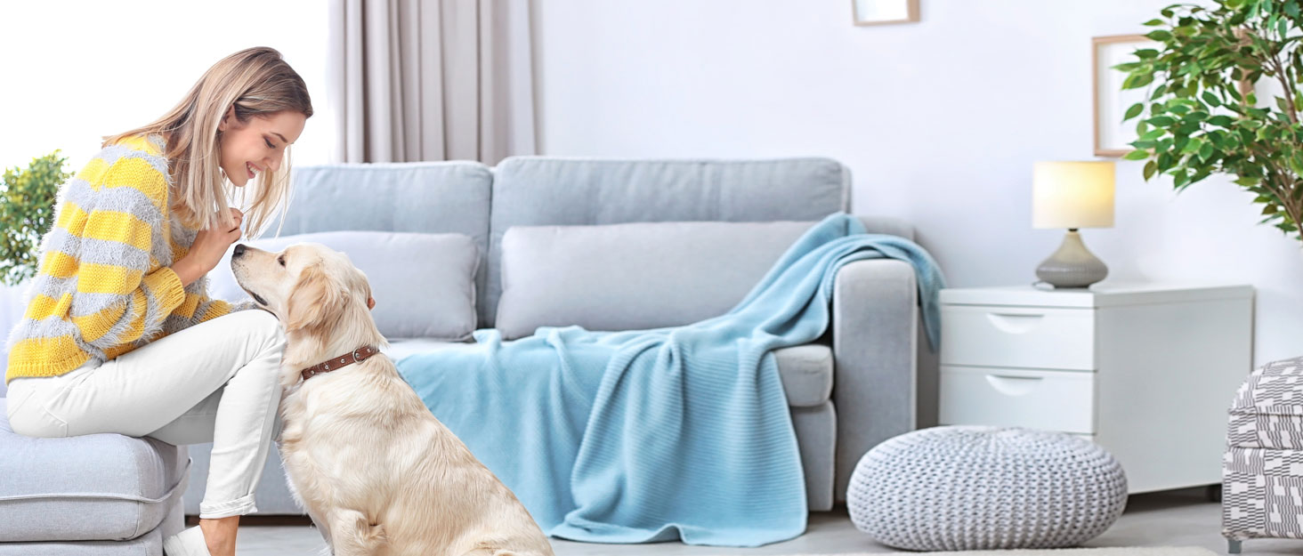 Зимова жилетка для собак, водонепроникний одяг для маленьких собак з D-початком, світловідбиваючий, XL, зелений