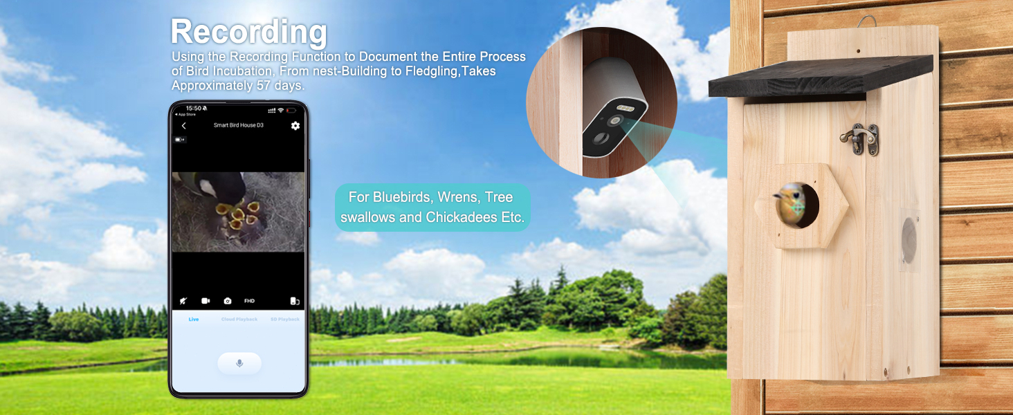 Будиночок для птахів з камерою 4MP HD, WiFi, водостійкий, нічне бачення, автоматичний запис, сповіщення в додатку, для спостереження за гніздуванням