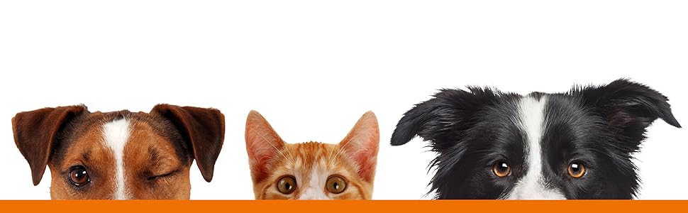 Рампа для собак Karlie Autohunderampe, 120x30x6 см, до 50 кг