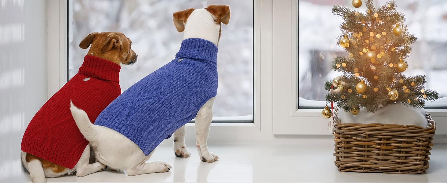 Теплий та м'який пуловер для собак Queenmore | Turtleneck для Corgi, Beagle, Французького бульдога, Шнауцера, Такси | Розмір L, Колір блакитний