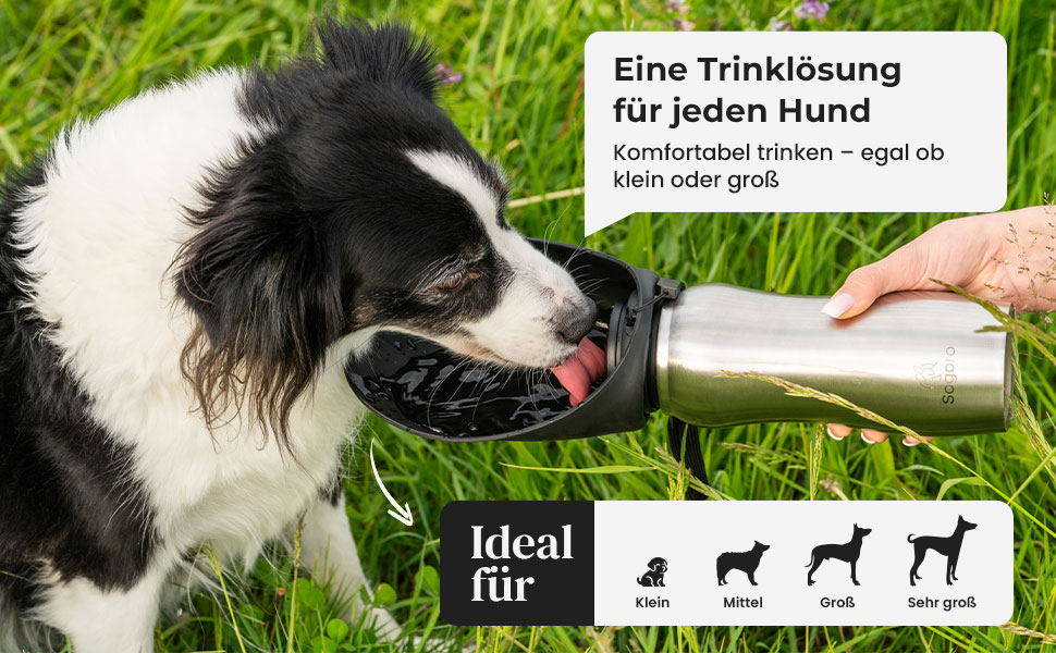 Водяна пляшка для собак Sogoro 700 мл - не протікає, з нержавіючої сталі - портативна, для всіх порід