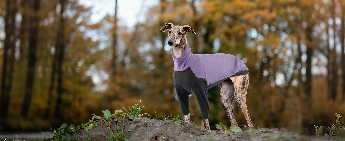 Тепла флісова роба для віндхундів (гріхунди), флісова куртка для віндхундів, одяг Gago для зими, зручний стиль для віндхундів, що мерзнуть (Армійний зелений, фіолетовий, S)