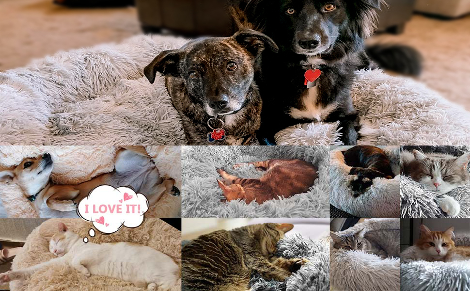 Ліжко для собак і котів Puppy Love, розкладне, м'яке, флісове, заспокійливе, знімний чохол, машинне прання, для малих, середніх і великих порід, 60 см, червоне