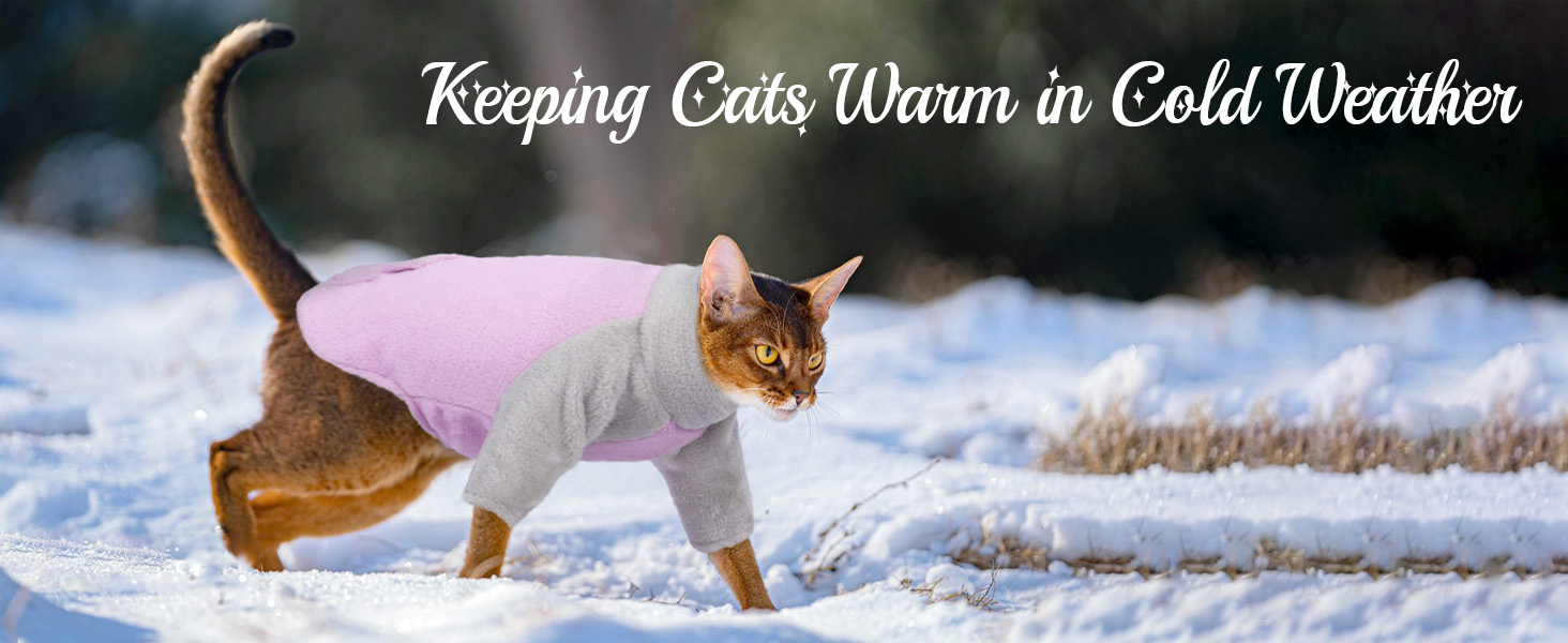 Теплий зимовий пуловер для котів Sphynx, фіолетовий, Roa (M)