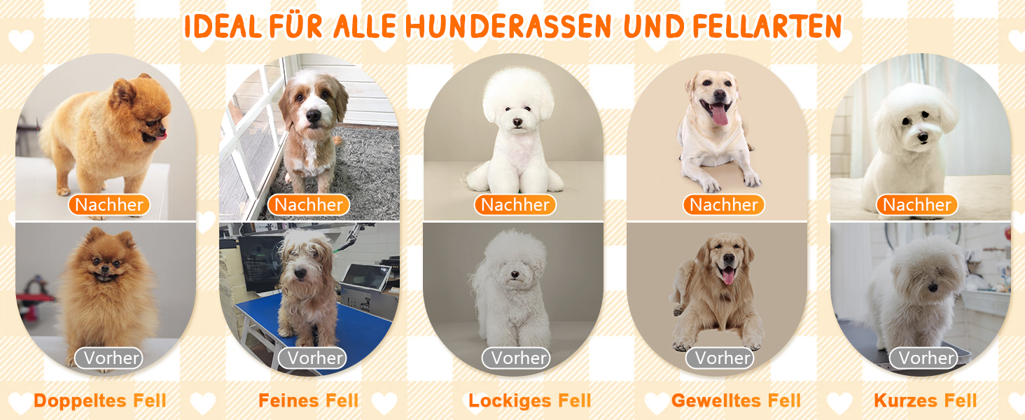 Машинка для стрижки собак та котів YAZ EKY Profi Leise – професійна тиха машинка з 4 насадками, 6500 RPM, для тіла, обличчя, вух та лап, золота