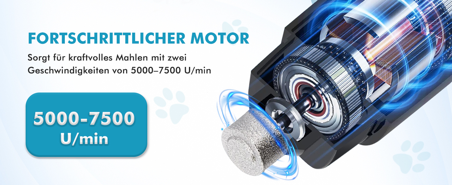 Шліфувальник для собак ETENTOUS: професійний, тихий, з 3 насадками та ножицями для догляду за кігтями. Підходить для собак великих, середніх та малих порід. Чорний колір.