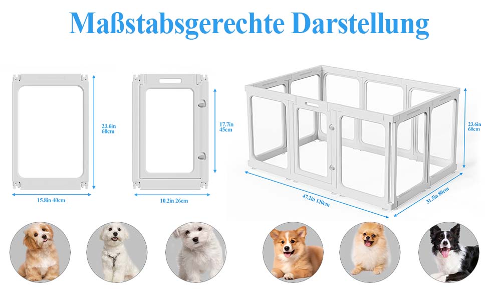 Кія для цуценят SISKEYCOOC 60 см з акрилового пластику, прозорий, з дверцятами, для собак середніх та маленьких порід, легкий у догляді, для дому, 10 шт. Білий, 9+1, висота 60 см