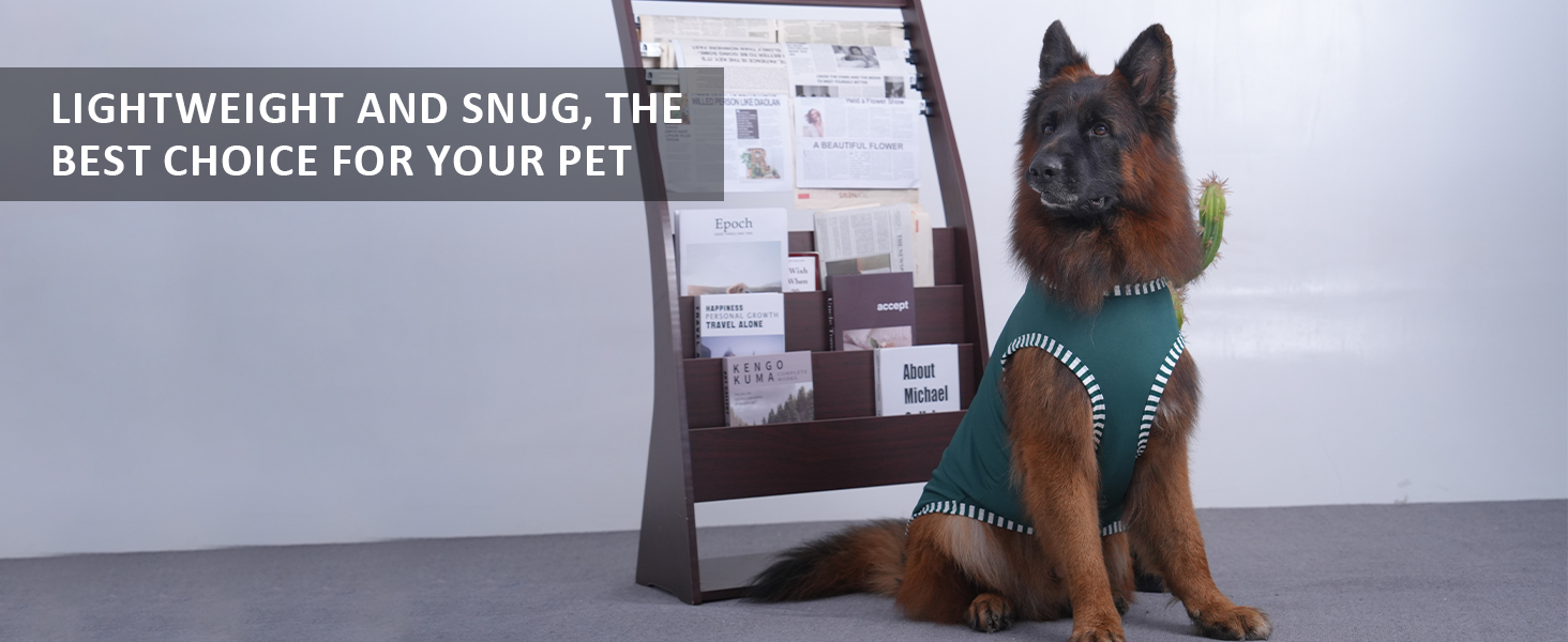 Сорочка для собак Katzinst (2 шт.) - сонцезахист, дихаючий матеріал, для середніх собак, французького бульдога, розмір L (зелений хакі)