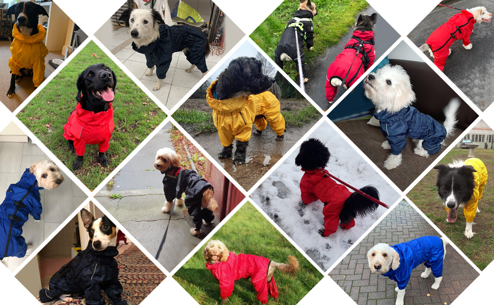 Жовтий дощовик для собак MOREZI з високим коміром, набір з водовідштовхувальним дощовиком, світловідбиваючими смугами та блискавками, підходить для всіх порід собак, великий розмір (довжина спини: 42-45 см)