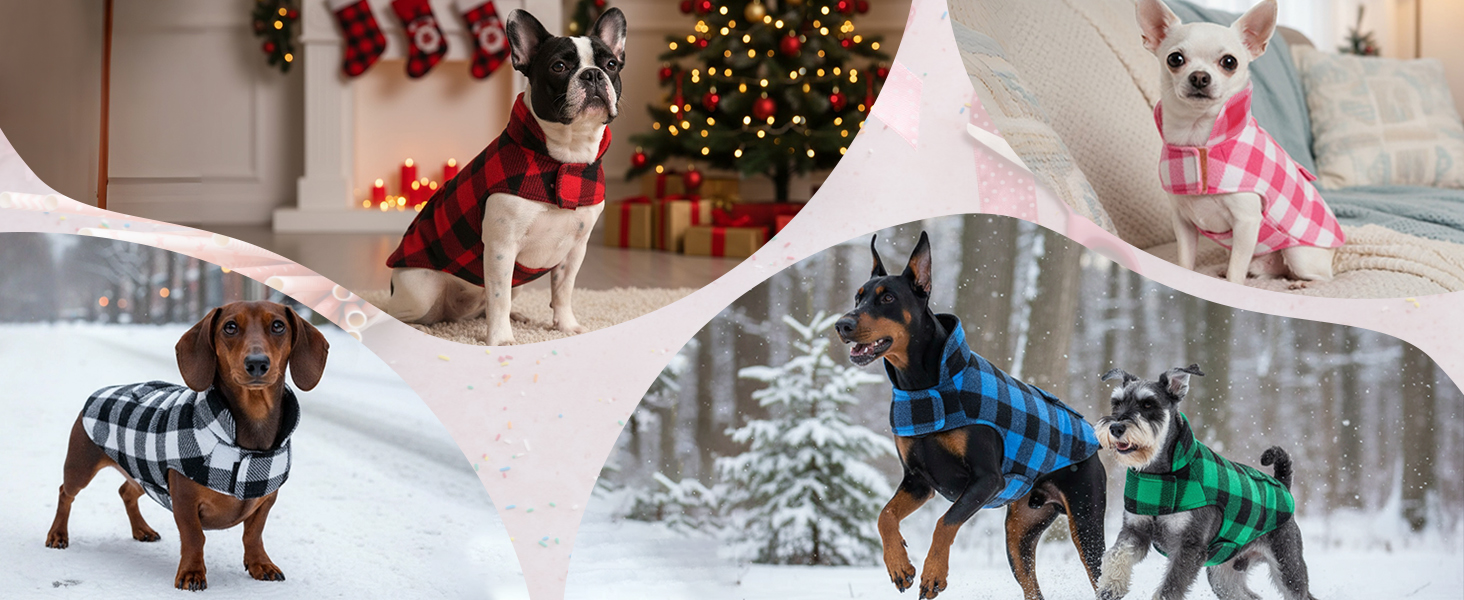 Зимовий теплий дощовик для собак XS, флісова куртка, дощовик для собак, 2 в 1, водонепроникний, вітрозахисний, з отвором для повідка, зелений