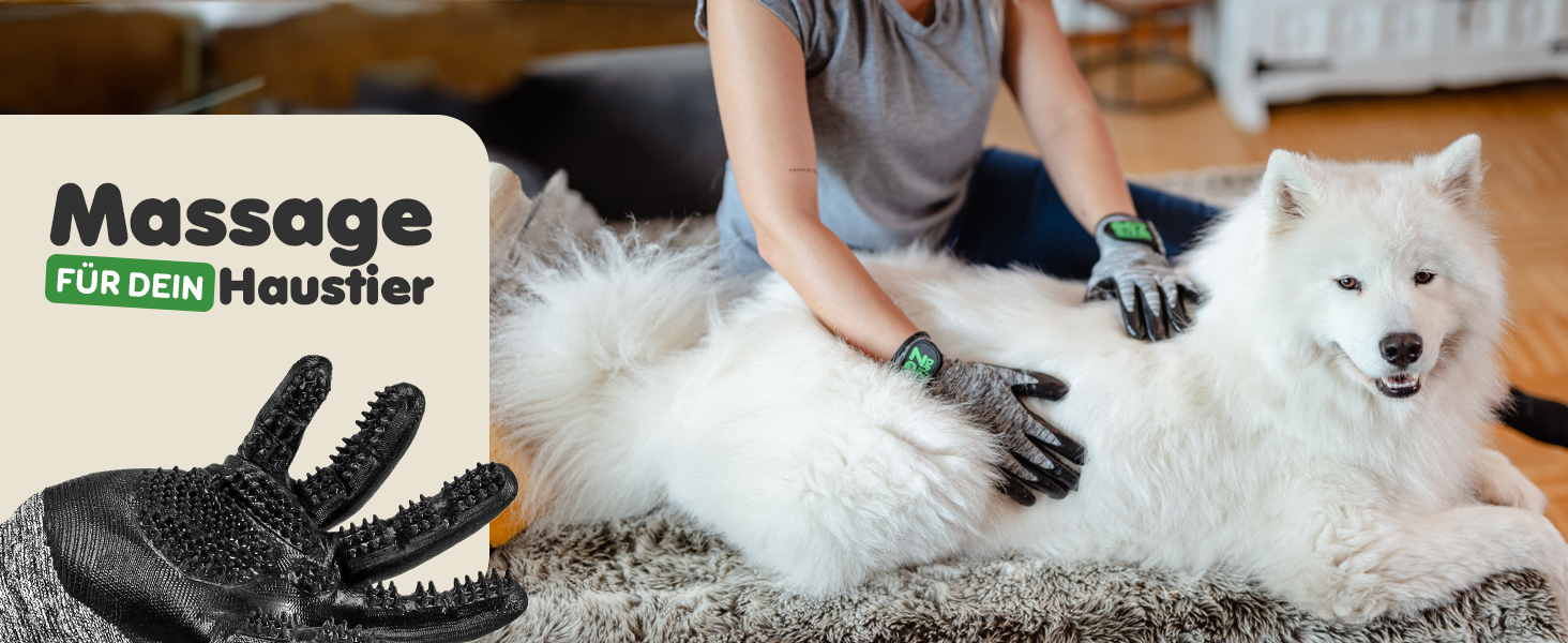 Рукавичка для грумінгу тварин DR Zoo (1 пара, розмір S) – для собак, котів та коней. Ефективне видалення шерсті, м'який дизайн з нопочками, підходить для короткої та довгої шерсті, мокрого та сухого хутра. Підходить для вузьких жіночих рук.