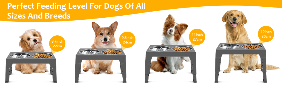 Підвищена годівниця для собак FOSTBEEN з 2 мисками з нержавіючої сталі та повільною годівницею, регульована по висоті