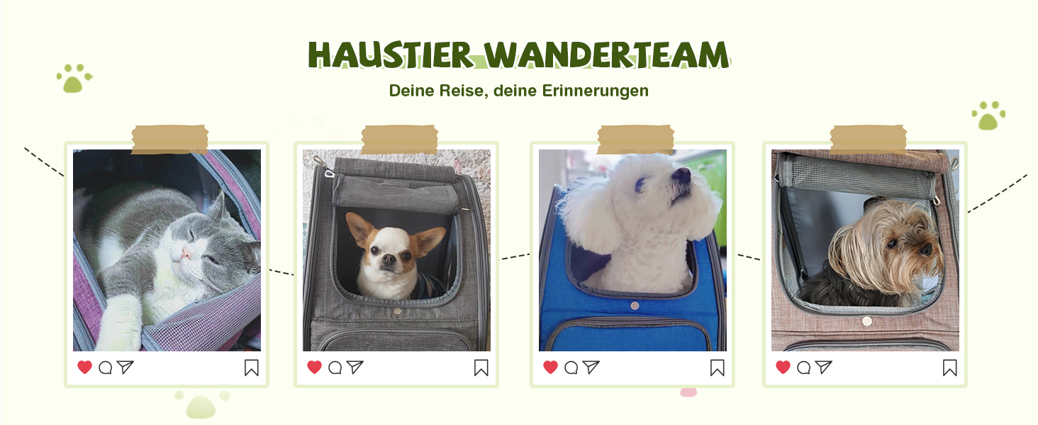 Рюкзак для котів та собак ALLSOPETS, складний, дихаючий, з сонцезахистом, для маленьких котів та собак. Ідеально для подорожей, кемпінгу та походів (Колір: Ягідний рожевий)