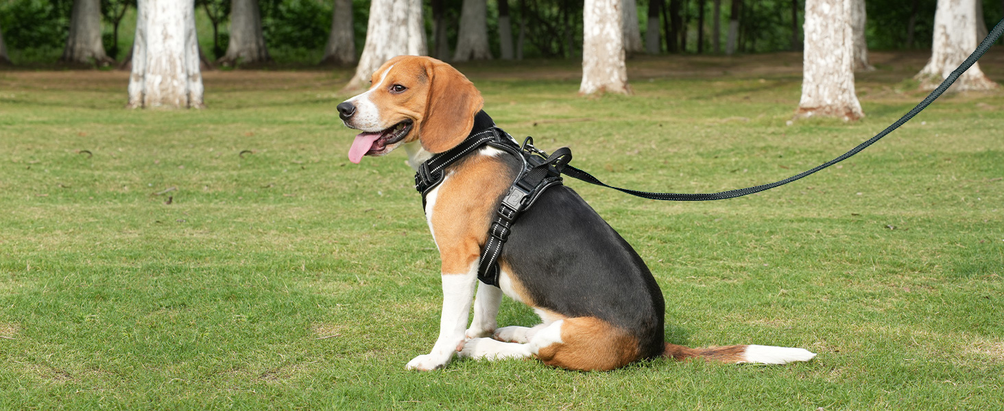 Світловідбиваючий нашийник для собак Joytale, акумуляторний, для середніх собак, без натягування, з LED, з ручкою, регульований, для нічних прогулянок, зелений, M. Зелений (XL (1 шт.), чорно-синій)