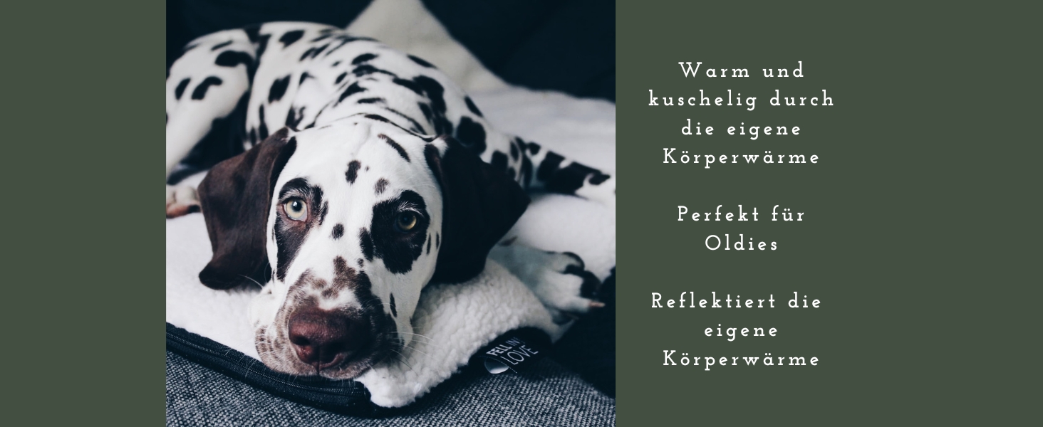 Тепла ковдра для собак Fellou 90 x 64 см - самонагрівальна, миється, без сторонніх звуків, підігрівальна ковдра для собак, килимок для собак (90 x 64 x 3 см, бежевий)