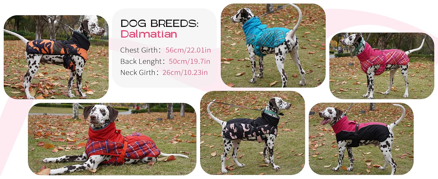 Водонепроникний зимовий теплий одяг для собак - куртка для маленьких, середніх та великих собак. Теплий одяг для собак з безпечними світловідбиваючими смугами для Лабрадорів, Чихуахуа, Французьких бульдогів. Зелений камуфляж