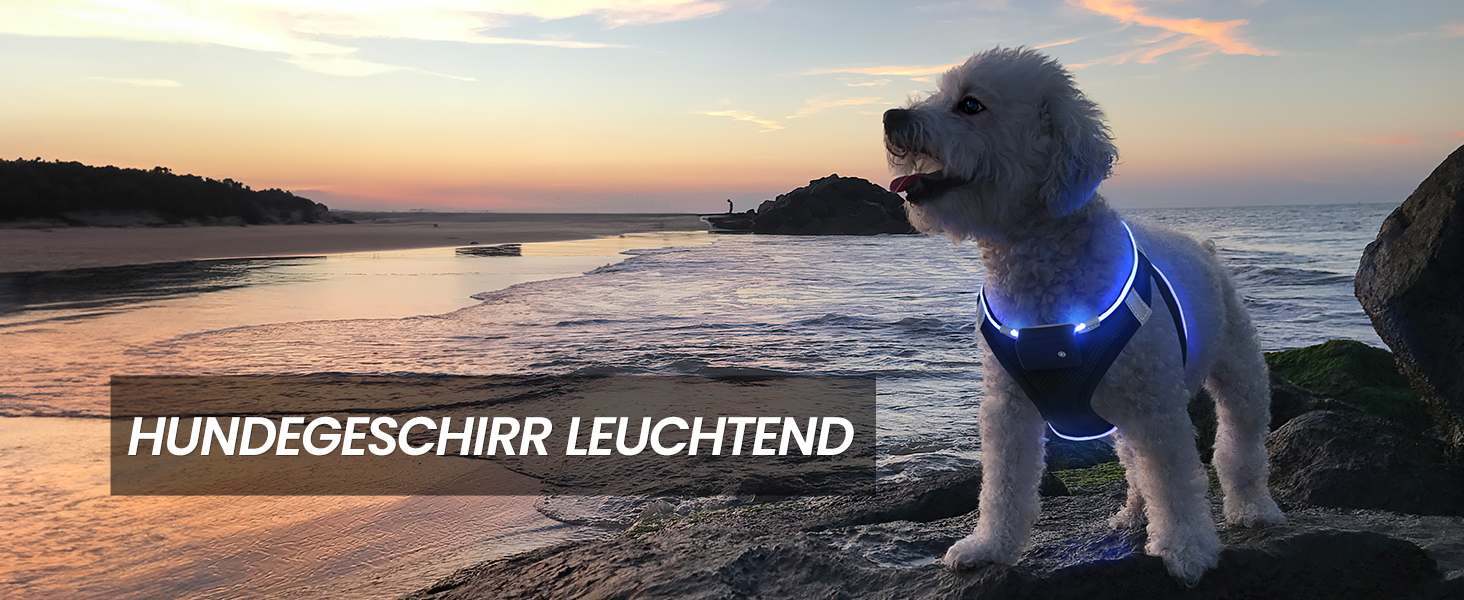 Світловідбиваючий нашийник для собак PcEoTllar з LED підсвічуванням (3 режими), зелений, для маленьких та середніх собак
