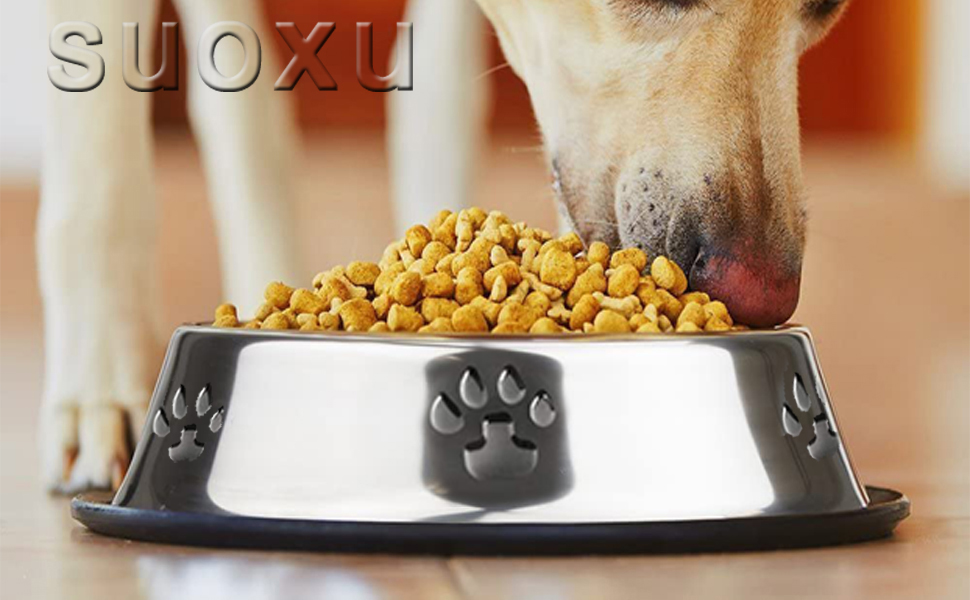 Набір з 2 мисок для собак з нержавіючої сталі, великі (30 см), антиковзні